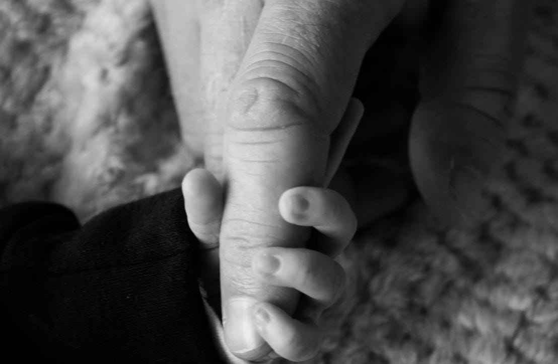 WhatsApp Image 2026-02-18 at 17.51.54